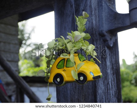 Close up of hanging tree pot in toy car shape