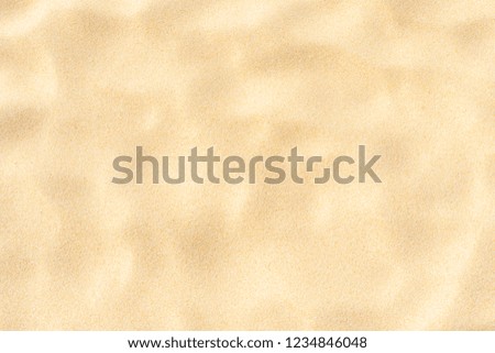 Close-up Fine beach sand in the summer sun smooth texture as background