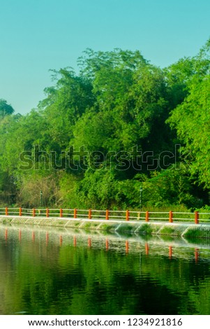 
A small lake surrounded by very green lush plants. Located in Embung Potorono Lake.