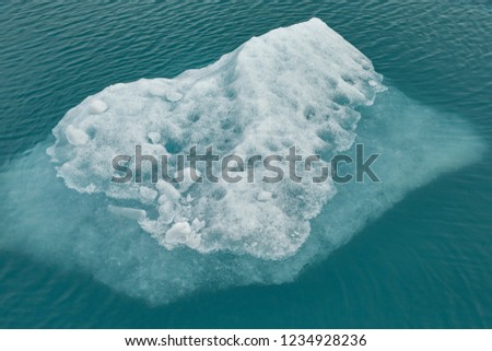 A detailed view of an ice piece floating in Columbia Bay near Columbia Glacier