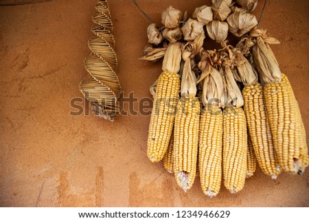 May, 2011
In Yongin Folk Village, Korea
I took a picture of corn hanging from a traditional mud house.
