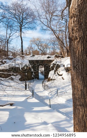 Winter day in Central Park, New York City, United States of America.