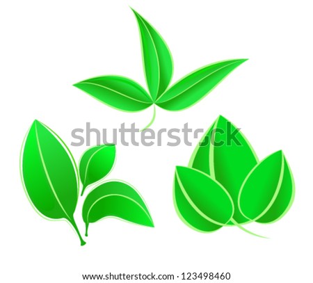 3 leaf composition