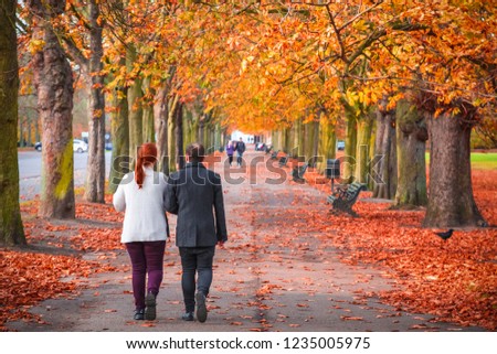 Back view of couple walking on a treelined avenue during autumn season on Greenwich Park, London