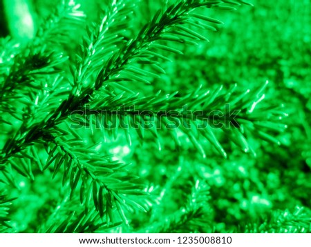 Green christmas tree. Holiday christmas card