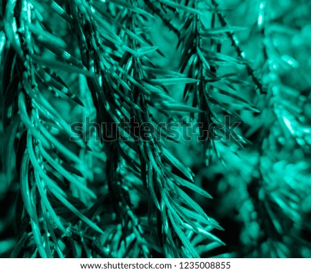 Aqua colored christmas tree. Holiday christmas card