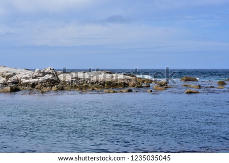 Landscape view of coast at tasmania with seagulls