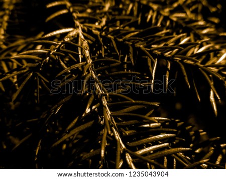 Dark abstract brown christmas tree. Holiday christmas card