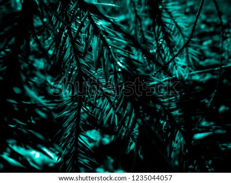 Aquatic christmas tree - holiday christmas card. Background and Texture