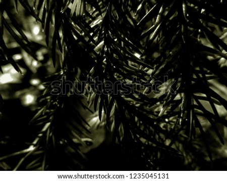 Mystical christmas tree - holiday christmas card. Background and Texture