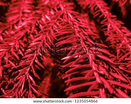 Red christmas tree. Holiday christmas card