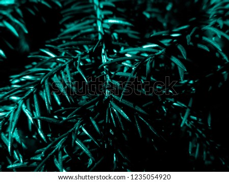 Aquatic christmas tree - holiday christmas card. Background and Texture