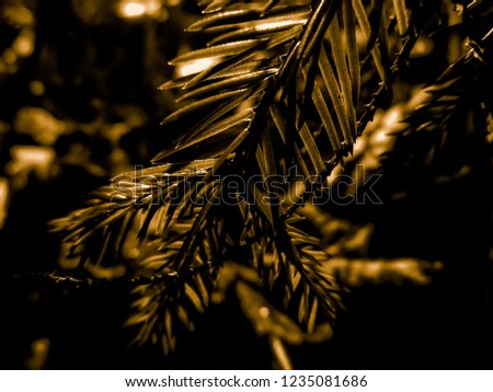 Dark abstract brown christmas tree. Holiday christmas card