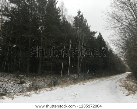 Winter on Åland, Finland