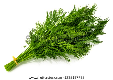bunch fresh green dill isolated on white background. Royalty-Free Stock Photo #1235187985