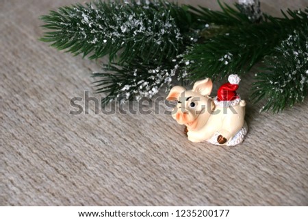 Funny little pig on Christmas tree background.Xmas concept.Year of the pig 2019