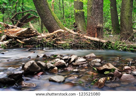 Water on the rocks into the forest