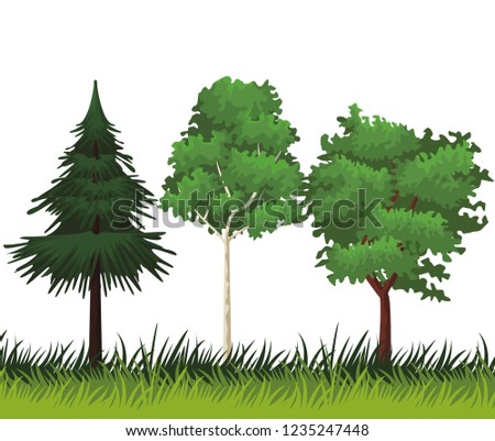 Trees nature landscape