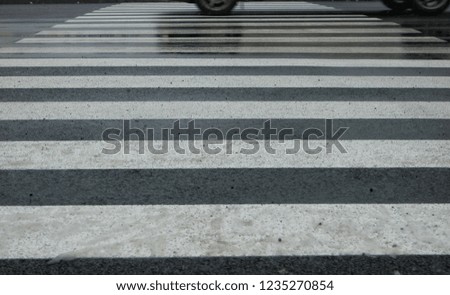Pedestrian crossing on the winter city street, background