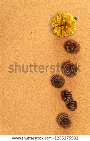 Big golden pine cone with small brown pine cone on cork background
