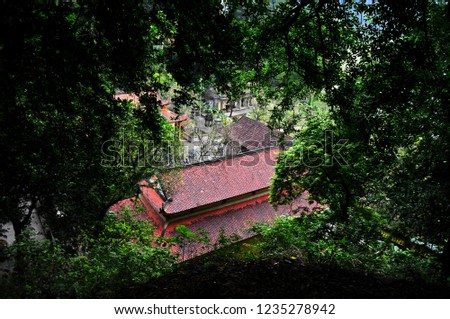 Top view of zen temple roof from the nearby forest in Vietnam 