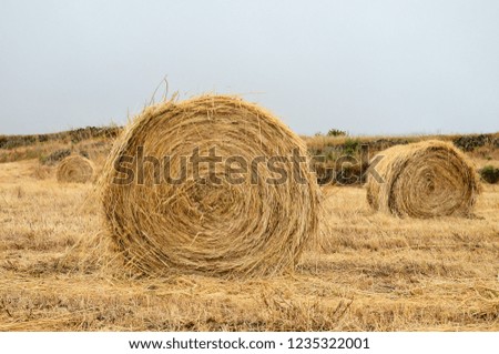 bales of hay, beautiful photo digital picture