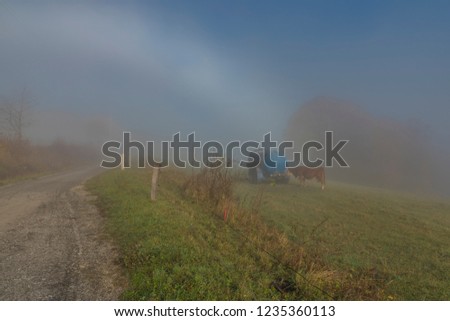 Road from Stary Hrozenkov to Zitkova in fog morning with sun