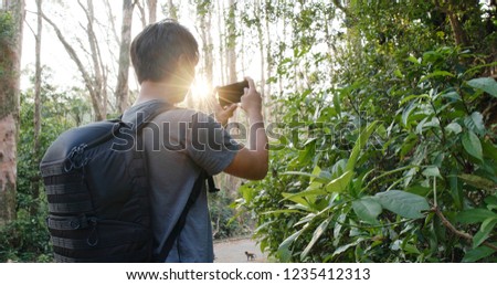 Man take photo on cellphone in the forest under sun flare
