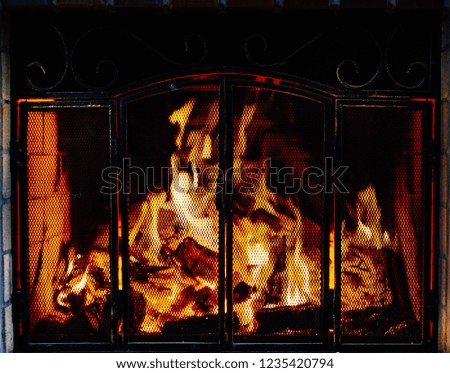 burning fire in the fireplace. flaming fireplace. working fireplace