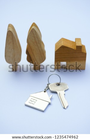 Home key with house keychain and wooden tree mock up on vintage white background, property concept, copy space