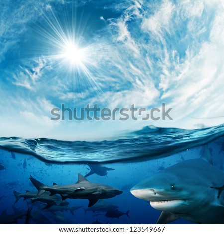 Beautiful cloudy divine background with sunlight and a lot of dangerous sharks underwater design concept