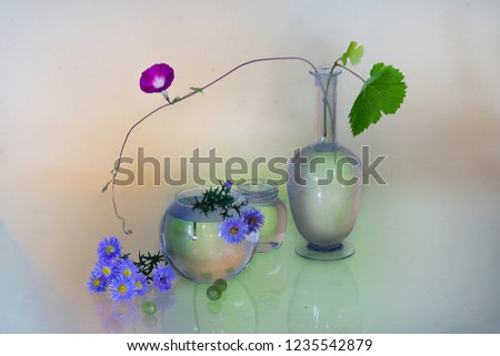 Still life with flowers in a vase in colored light