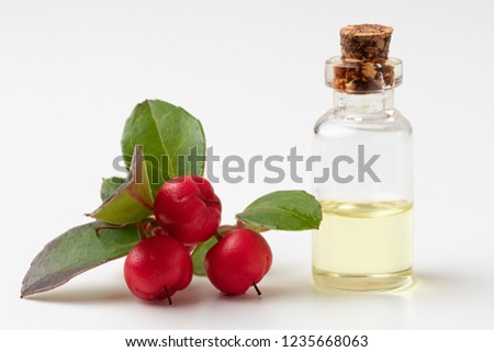 WINTERGREEN-OIL Stock Photos and Images - Avopix.com