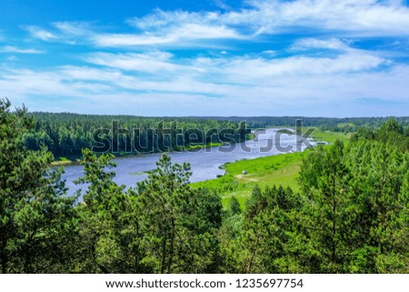 calm summer day view by the lake with clean water and water grass, bents, and green foliage near forest