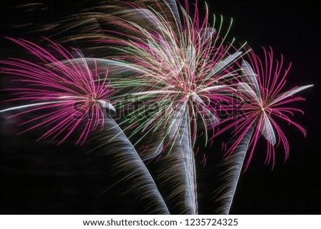 Colorful Display of the Fireworks
