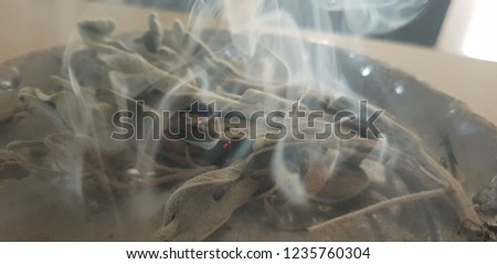 Smoke generated from burning sage Royalty-Free Stock Photo #1235760304