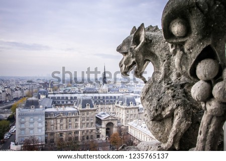 Mythical creature gargoyle on the roof of Cathedral Notre Dame de Paris. View from the tower.

