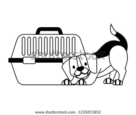 beagle dog and pet cage