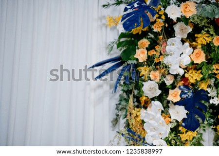 wedding flower decoration, flower backdrop background, rose wall, colorful background, fresh rose, bunch of flower
