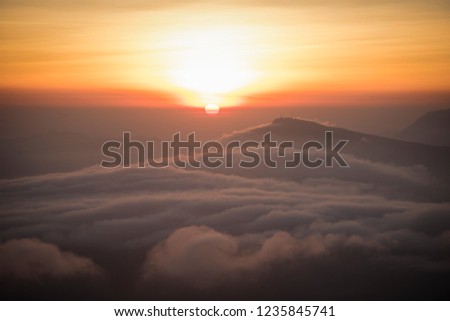 foggy landscape / the morning beautiful sunrise mist cover mountain background - forest hill mist fog flow with wind and orange sky at Loei Phu Rua National Park 