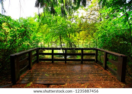 a picture of an exterior Pacific Northwest forest with a wildlife viewing platform