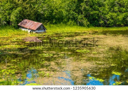 Picture of flooded cabana submersed under marsh water with marsh aquatic plants surrounding it and green forest on background