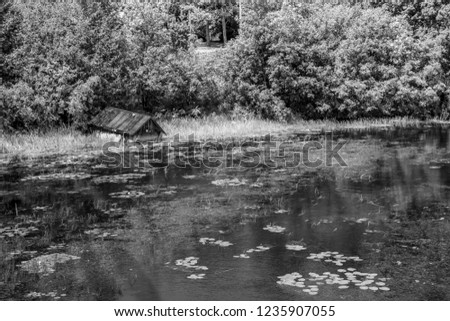 Monochrome picture of flooded cabana by the marsh featuring trees on background and marsh aquatic plants