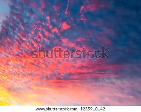 vibrant pink sunset