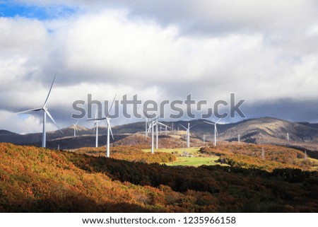 Wind farm in the leaves change color.