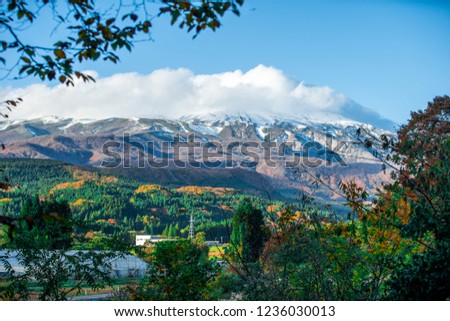 Leaves color change, Autumn leaves And high mountains covered with snow and white clouds. in Akita, Japan