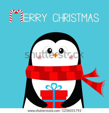 Merry Christmas. Penguin holding gift box present. Red scarf. Happy New Year. Cute cartoon kawaii baby character. Arctic animal. Flat design. Hello winter. Blue background. Vector illustration