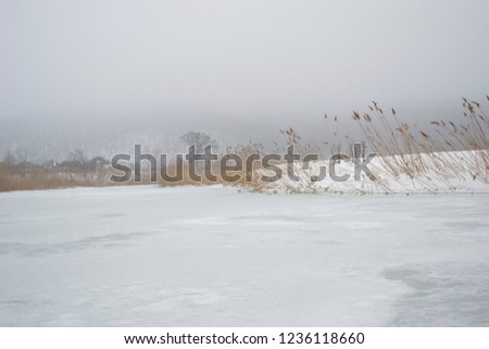 Winter pacifying landscape: reed by the frozen river is on foreground and hills is in the fog on background. Meditation concept.