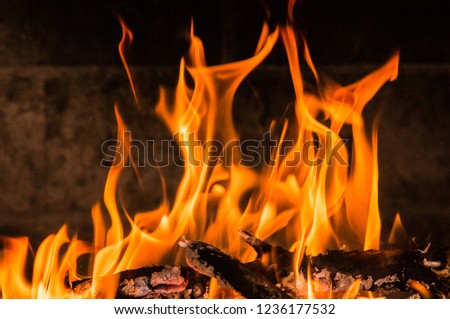 burning woods with flames in the fireplace