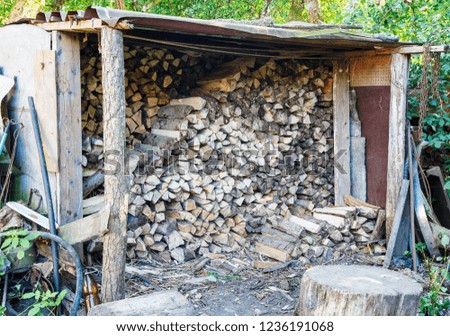 dry firewood stacked in a woodpile outdoor on summer day